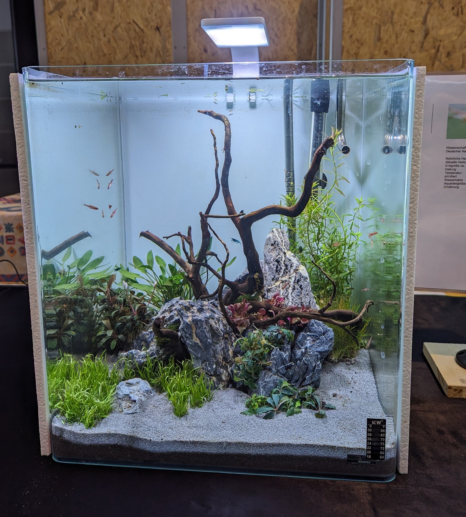 cube 60l scaping